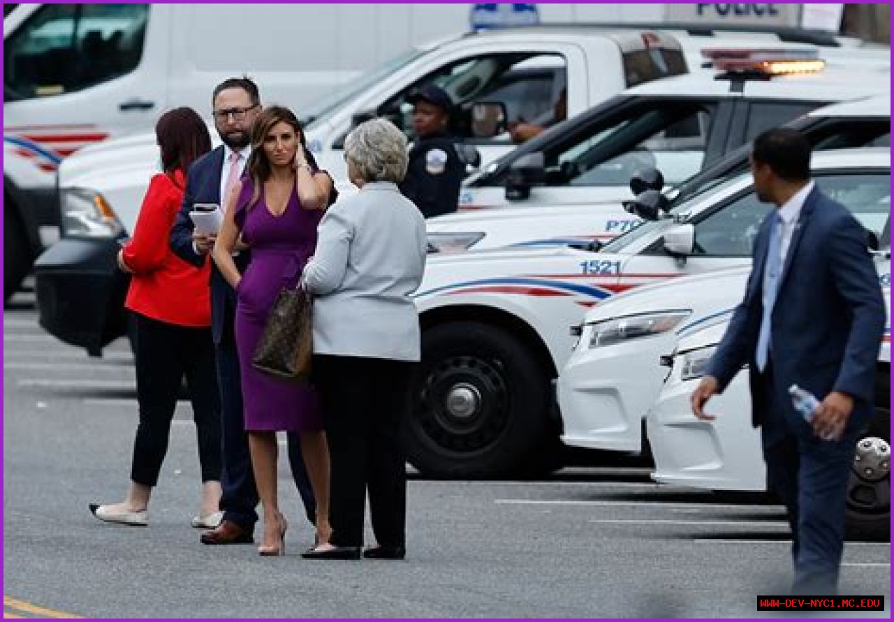 Unveiling The Personal Life Of Alina Habba: Her Husband And Kids